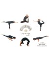 Joy Of Yoga Classes:  Grown Up's: 1 Month